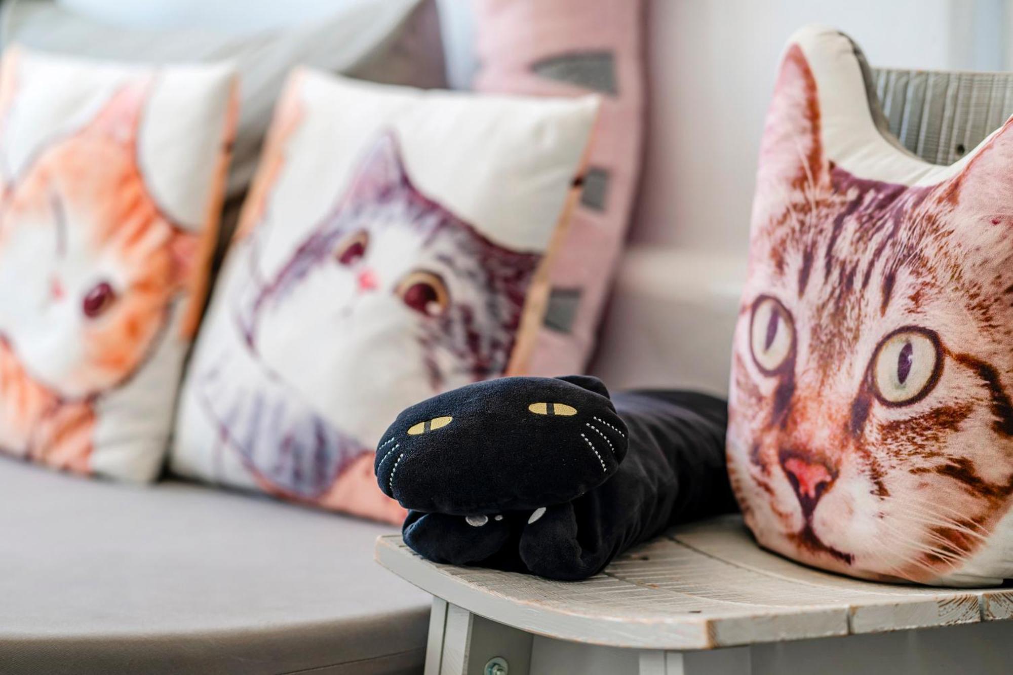 Cat At Greece Bed & Breakfast Nanwan Exterior photo